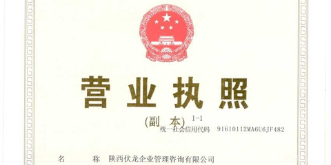 陜西伏龍企業管理咨詢 賦能企業，驅動增長
